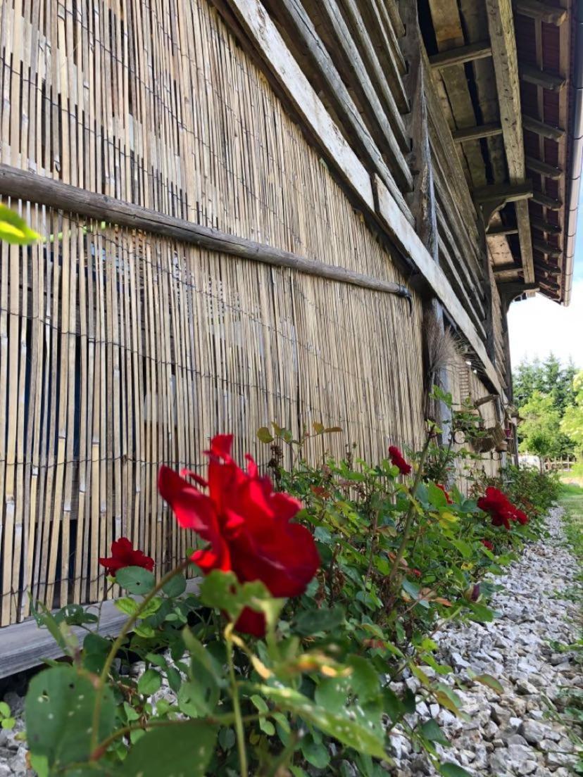 Edenski Vrt Ivancna Gorica Exterior foto